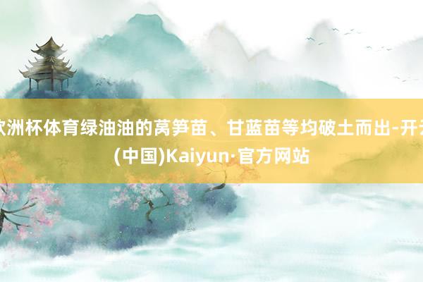 欧洲杯体育绿油油的莴笋苗、甘蓝苗等均破土而出-开云(中国)Kaiyun·官方网站