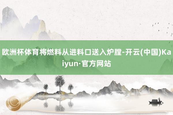 欧洲杯体育将燃料从进料口送入炉膛-开云(中国)Kaiyun·官方网站