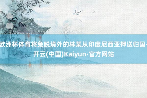 欧洲杯体育将兔脱境外的林某从印度尼西亚押送归国-开云(中国)Kaiyun·官方网站