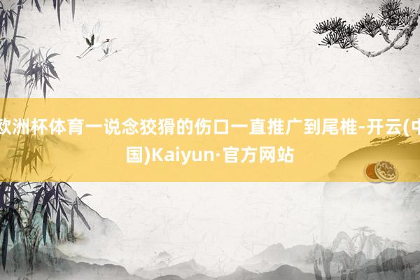 欧洲杯体育一说念狡猾的伤口一直推广到尾椎-开云(中国)Kaiyun·官方网站