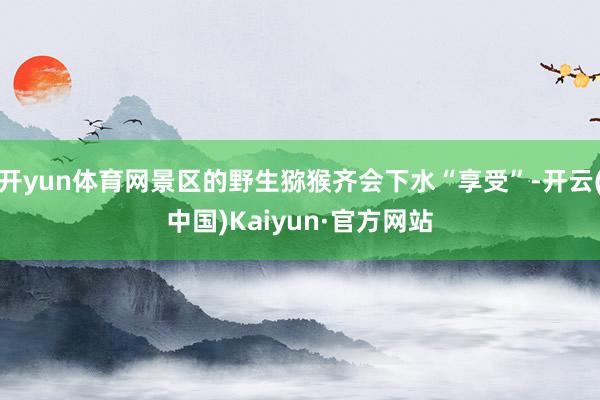 开yun体育网景区的野生猕猴齐会下水“享受”-开云(中国)Kaiyun·官方网站