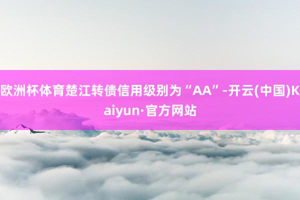 欧洲杯体育楚江转债信用级别为“AA”-开云(中国)Kaiyun·官方网站