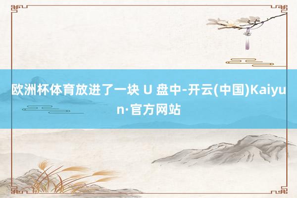 欧洲杯体育放进了一块 U 盘中-开云(中国)Kaiyun·官方网站