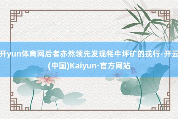 开yun体育网后者亦然领先发现牦牛坪矿的戎行-开云(中国)Kaiyun·官方网站