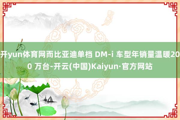 开yun体育网而比亚迪单档 DM-i 车型年销量温暖200 万台-开云(中国)Kaiyun·官方网站