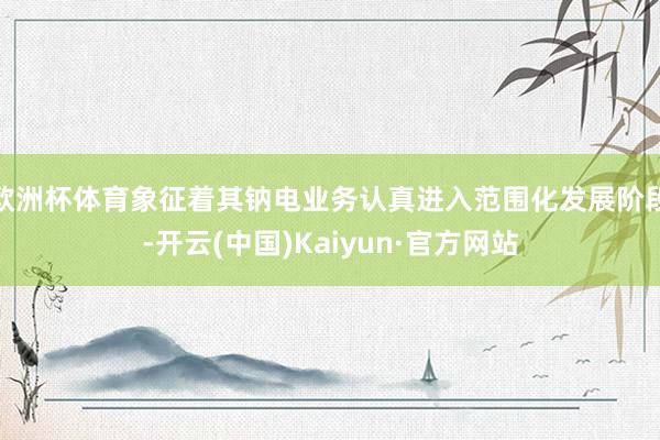 欧洲杯体育象征着其钠电业务认真进入范围化发展阶段-开云(中国)Kaiyun·官方网站
