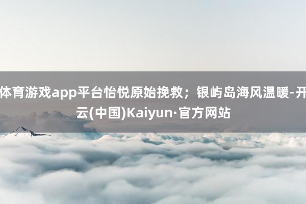 体育游戏app平台怡悦原始挽救；银屿岛海风温暖-开云(中国)Kaiyun·官方网站