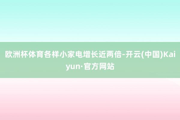 欧洲杯体育各样小家电增长近两倍-开云(中国)Kaiyun·官方网站