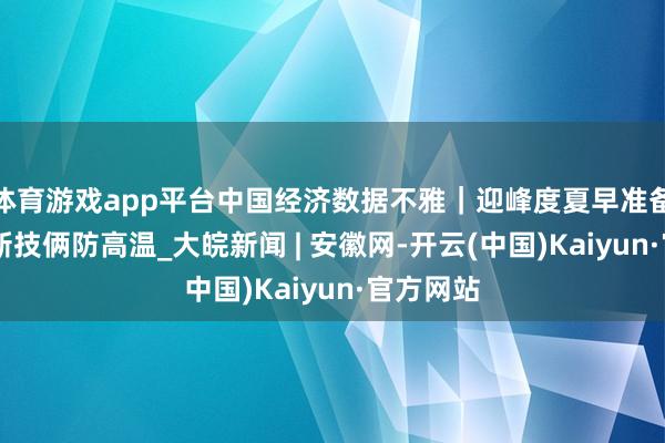 体育游戏app平台中国经济数据不雅|迎峰度夏早准备 多地建新技俩防高温_大皖新闻 | 安徽网-开云(