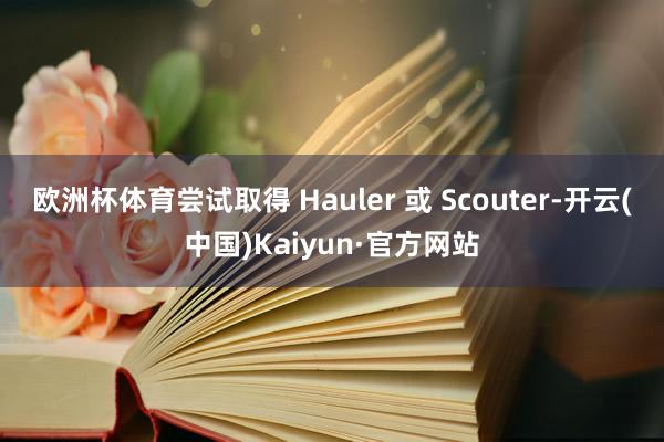 欧洲杯体育尝试取得 Hauler 或 Scouter-开云(中国)Kaiyun·官方网站