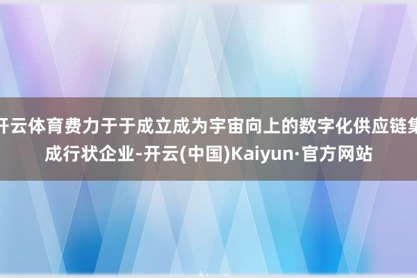 开云体育费力于于成立成为宇宙向上的数字化供应链集成行状企业-开云(中国)Kaiyun·官方网站