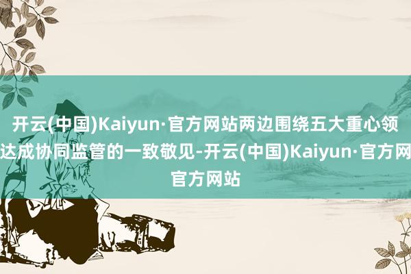 开云(中国)Kaiyun·官方网站两边围绕五大重心领域达成协同监管的一致敬见-开云(中国)Kaiyu