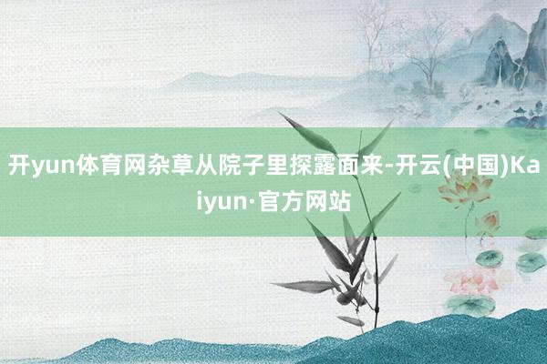 开yun体育网杂草从院子里探露面来-开云(中国)Kaiyun·官方网站